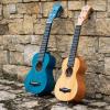 imageEnya Concert Ukulele 23 Inch Blue Solid Mahogany Top with Ukulele Starter Kit Includes Online Lessons TunerCase Strap Strings Capo Sand Shaker PickPolish Cloth EUC25D BUEUS25D Nature