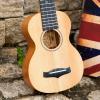 imageEnya Concert Ukulele 23 Inch Blue Solid Mahogany Top with Ukulele Starter Kit Includes Online Lessons TunerCase Strap Strings Capo Sand Shaker PickPolish Cloth EUC25D BUEUS25D Nature