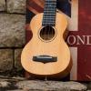 imageEnya Concert Ukulele 23 Inch Blue Solid Mahogany Top with Ukulele Starter Kit Includes Online Lessons TunerCase Strap Strings Capo Sand Shaker PickPolish Cloth EUC25D BUEUS25D Nature