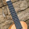 imageEnya Concert Ukulele 23 Inch Blue Solid Mahogany Top with Ukulele Starter Kit Includes Online Lessons TunerCase Strap Strings Capo Sand Shaker PickPolish Cloth EUC25D BUEUS25D Nature