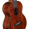 imageEnya Concert Ukulele 23 InchAll 5A Solid Acacia and Technology ebony Ukulele for Professional Player with High End Padded Ukulele Gig bag EUCK5