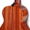 imageEnya EUCMAD Concert Ukulele Solid Gloss Mahogany Original Color 23 Inch with Highend 15mm Padded Gig BagNatural concert