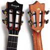 imageEnya EUCMAD Concert Ukulele Solid Gloss Mahogany Original Color 23 Inch with Highend 15mm Padded Gig BagNatural concert