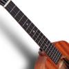 imageEnya EUCMAD Concert Ukulele Solid Gloss Mahogany Original Color 23 Inch with Highend 15mm Padded Gig BagNatural concert