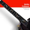 imageEnya Tenor All Solid Flame Maple Ukulele with Builtin AcousticPlus Pickup and Deluxe CaseBlack Feather