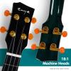 imageEnya Tenor All Solid Flame Maple Ukulele with Builtin AcousticPlus Pickup and Deluxe CaseBlue Feather
