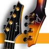 imageEnya Tenor All Solid Flame Maple Ukulele with Builtin AcousticPlus Pickup and Deluxe CaseFE Acacia