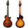 imageEnya Tenor All Solid Flame Maple Ukulele with Builtin AcousticPlus Pickup and Deluxe CaseFE Koa