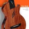 imageEnya Tenor All Solid Flame Maple Ukulele with Builtin AcousticPlus Pickup and Deluxe CaseNatural Feather