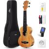 imageEnya Concert Ukulele 23 Inch Blue Solid Mahogany Top with Ukulele Starter Kit Includes Online Lessons TunerCase Strap Strings Capo Sand Shaker PickPolish Cloth EUC25D BUEUS25D Nature