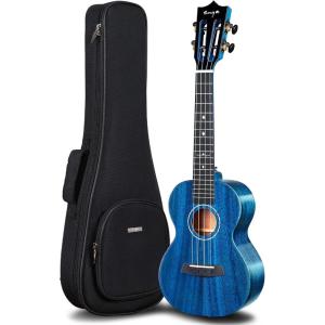 imageEnya EUCMAD Concert Ukulele Solid Gloss Mahogany Original Color 23 Inch with Highend 15mm Padded Gig BagBlue Tenor Acoustic