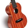 imageENYAMUSIC Concert Ukulele 23 Inch Kit in Mahogany Pattern EUCX1M  Beginner Kit With Online Lessons Padded Bag Tuner Aquila Strings Strap Picks and BookletNatural