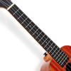 imageENYAMUSIC Concert Ukulele 23 Inch Kit in Mahogany Pattern EUCX1M  Beginner Kit With Online Lessons Padded Bag Tuner Aquila Strings Strap Picks and BookletNatural